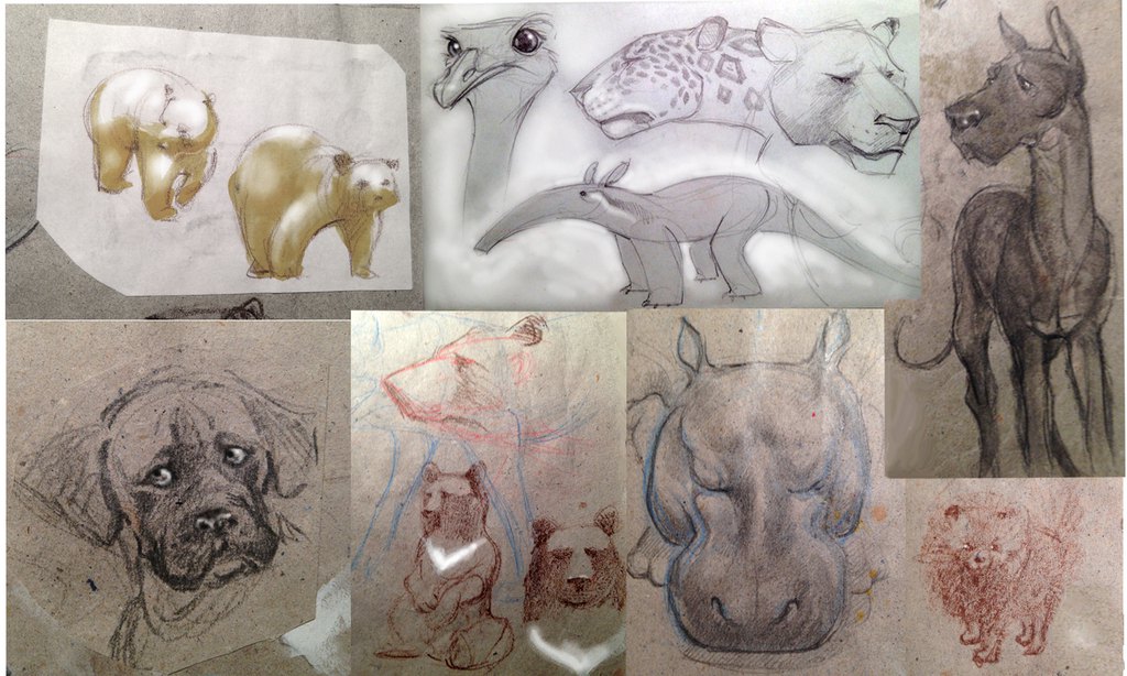 animal'sketch